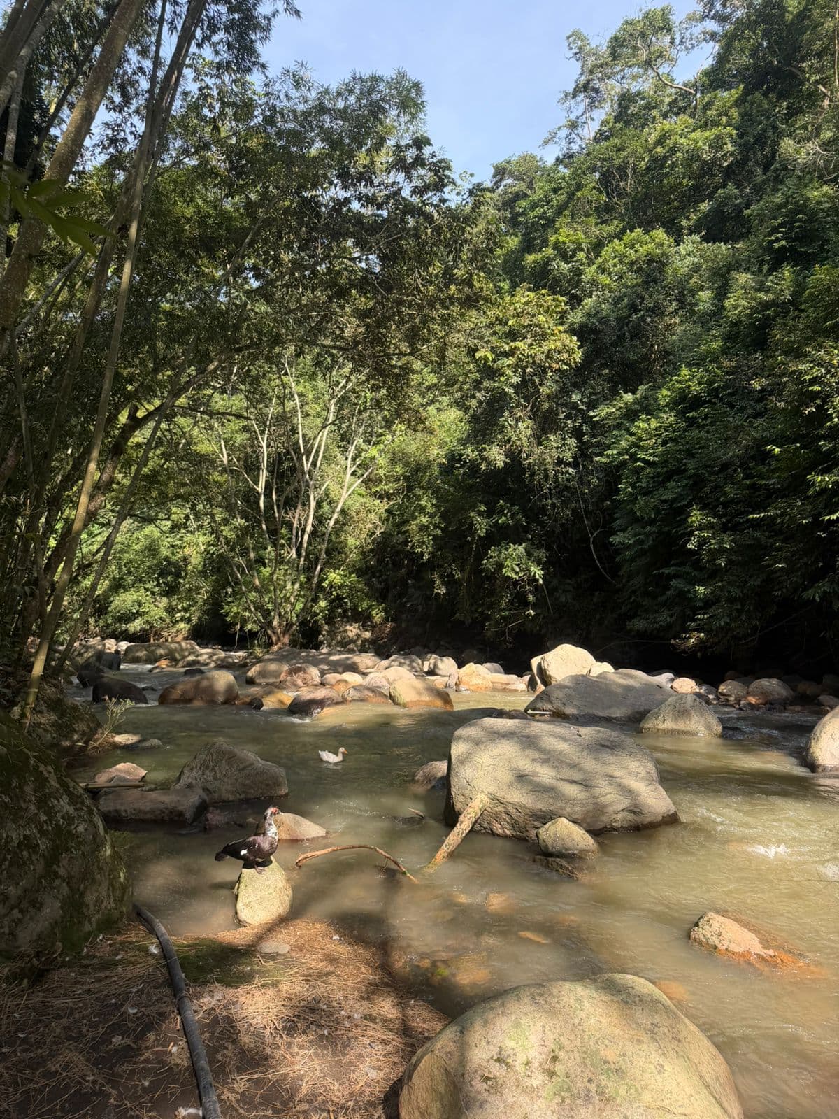 Río natural